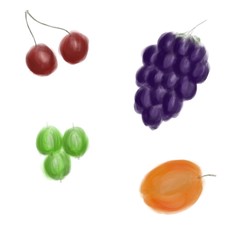 Watercolor berries like grape, gooseberry, apricot and cherry