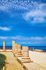 Ancient columns  in National Park Caesarea