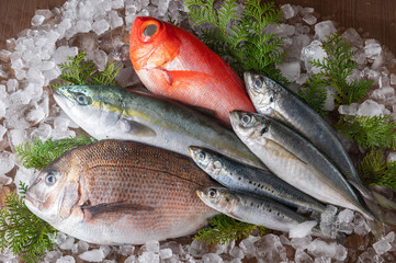 assorted japanese fresh fishes on ice