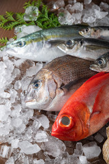 assorted japanese fresh fishes on ice