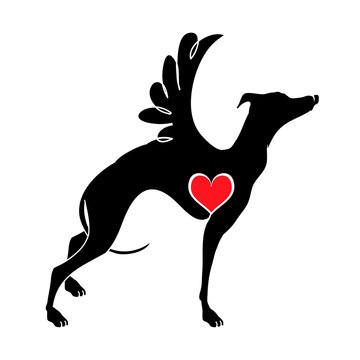 Hound dog with wings vector illustrations drawn by hand. Original flat image of a hound with a heart.