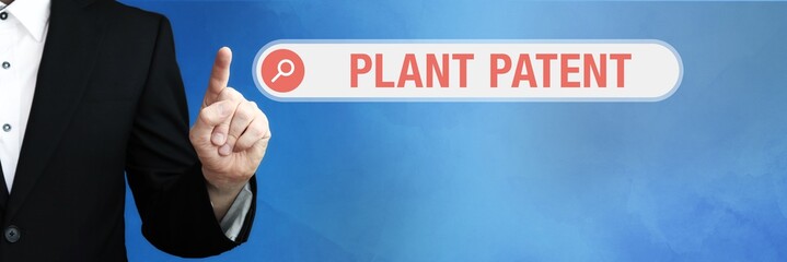 Plant Patent. Lawyer in suit points with his finger to a search box. The term Plant Patent is in focus. Concept for law, justice, jurisprudence