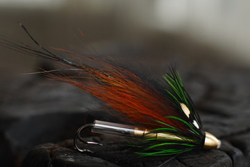 Traditionally dressed salmon fly shot against a wood background
