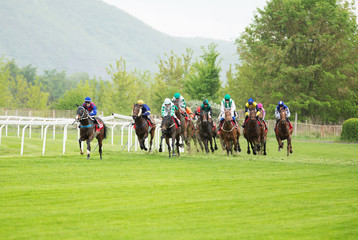 Race horses with jockeys on the home straight. Shaving effect.