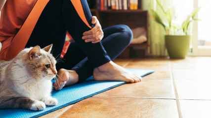 healthy woman with her cat, Workout at home