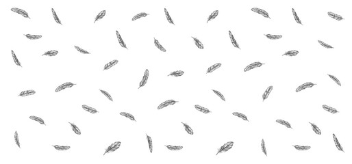 Vector Black and White Feather Pattern	
