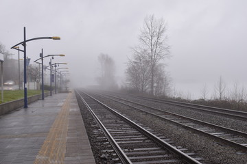 Fototapeta premium Morning view of misty deserted outdoor train station. Foggy, overcast. Tracks are beside a river. Bare trees in background. 