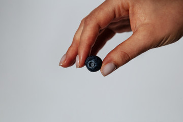 blueberries in hands on a white background