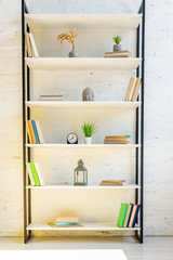 Fototapeta na wymiar shelves with books, clock, lantern, house plants and buddha head
