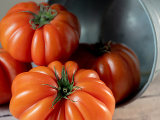 tomatoes in white plate on light table