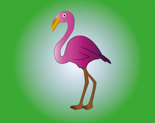 illustration of a flamingo
