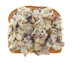 Homemade chicken salad with cranberries and celery on bread