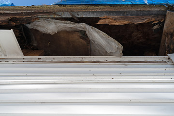 Rotting rafters and plywood on the underside of a roof