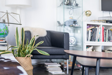 Horizontal view of a closeup of a living room