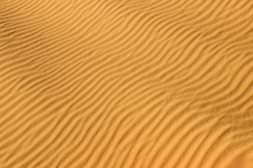Fototapeta na wymiar texture of sand waves in golden sahara desert 