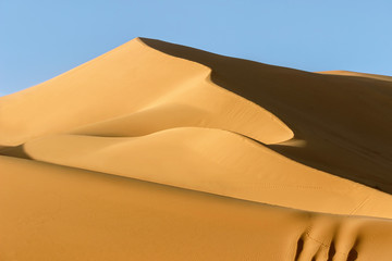 landscape of golden sand dune in sahara desert 	 - obrazy, fototapety, plakaty