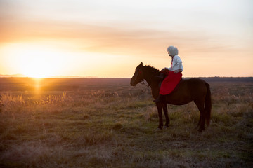Fototapeta na wymiar Kozak on a horse at sunset