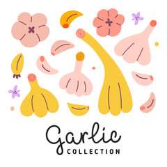 Garlic collection, vector illustration of garlic bulbs and cloves isolated on white background, healthy vegetables, cute cartoon drawing, hand drawn icon set,
