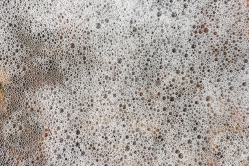 white foam in daylight