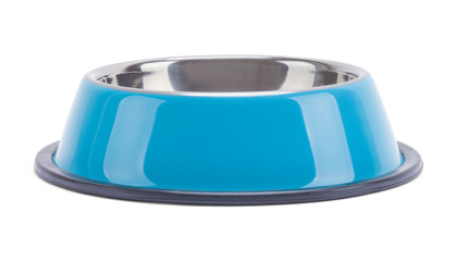 Dog Bowl Side