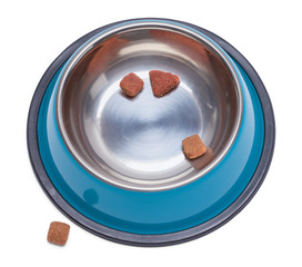 Dog Bowl with Pieces of Food