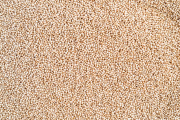 Close view of tiny organic amaranth seeds