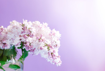 Lilac bouquet in glass vase against a white purple wall with  copy space.