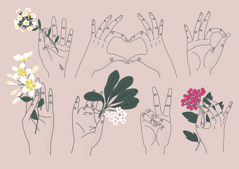 Collection of hands holding bouquets or bunches of blooming flowers, concept of harmony, love, peace symbols. Set of elegant summer gifts. Flat vector illustration.