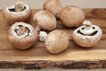 Close-up fresh organic brown mushrooms champignon on a wooden board.