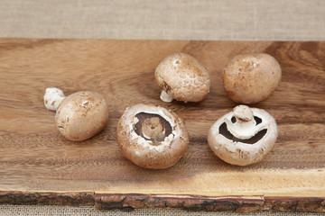 fresh organic brown mushrooms champignon on a wooden board with copy space.