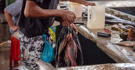 Unrecognizable creole man holding  big tuna fish at the street market. Mahe island, Seychelles