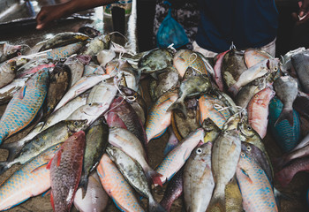 Freshly caught tropical fish selling in the Sir Selwyn Selwyn Clarke Market at Victoria city, Seychelles. Fresh seafood, fish background. Top view