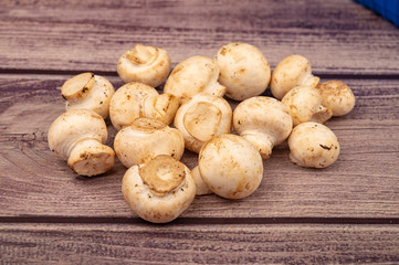 Young mushrooms scattered on a wooden background. Close up.