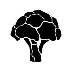 Broccoli icon on white background. Healthy organic food sign. Isolated cauliflower symbol. Flat style. Vegetarian food.