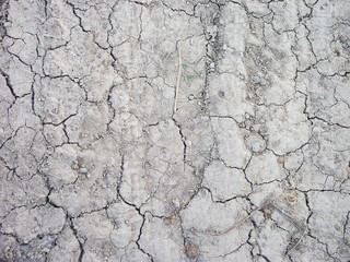 dry cracked earth