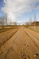 Naklejka premium A dirt road in the countryside goes into the distance. Beautiful clouds and thin birches along the clay road in spring