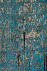 Texture of wood with old color blue and white background.