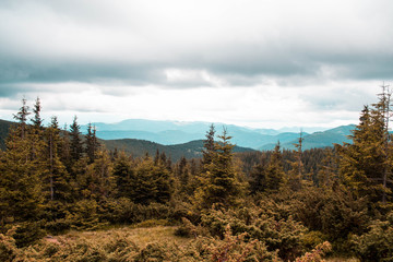 Our walk in the mountains