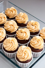 Ultimate chocolate dough cupcakes with peanut butter cream cheese frosting. Selective focus.