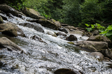 Our walk in the mountains