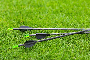 arrows for sports archery on a green lawn