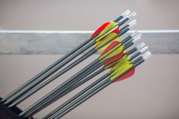 Many feathering arrows from a bow in the quiver