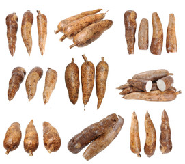  three whole  manioc