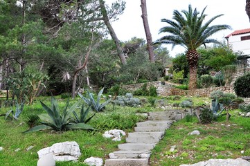 tropical garden with palm trees and stone stair in the middle