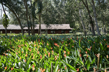 Obraz premium baracke