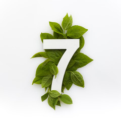 Number seven with green leaves. Minimal summer concept. Flat lay.
