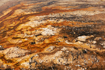 Yellowstone Geysers