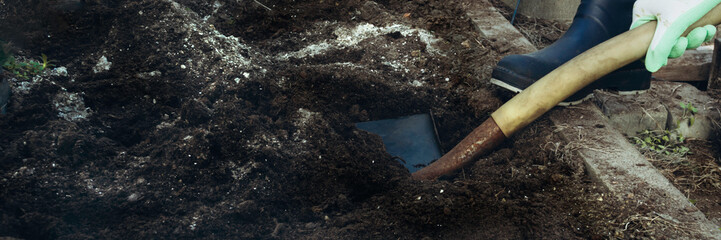 farmer digs a hole by shovel in garden
