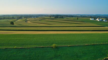 Naklejka premium Aerial view of farm lands and corn crop and fields in late afternoon