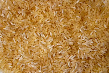 Beautiful background of Golden rice